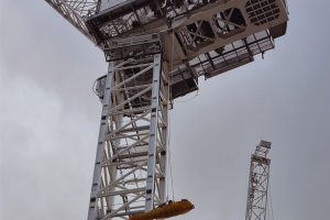 TRE9U Tower Crane Rescue