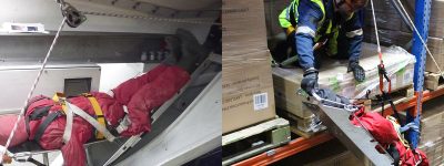 Telson Stretcher 1600x450